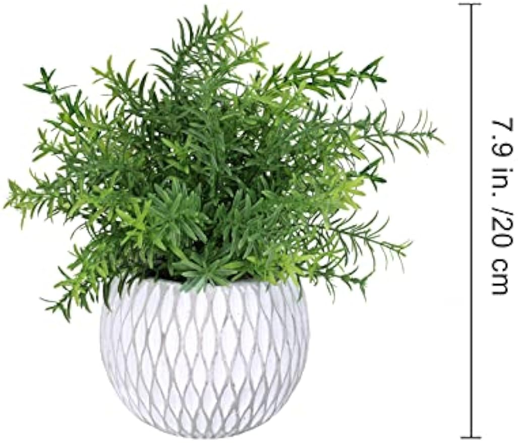 Winlyn 3 Pcs Small Potted Plants Artificial Eucalyptus Rosemary Plants and Aloe Succulent Plant in Gray Geometric Cement Pots for Gifts Table Windowsill Shelf Home Bathroom Indoor Outdoor Green Decor