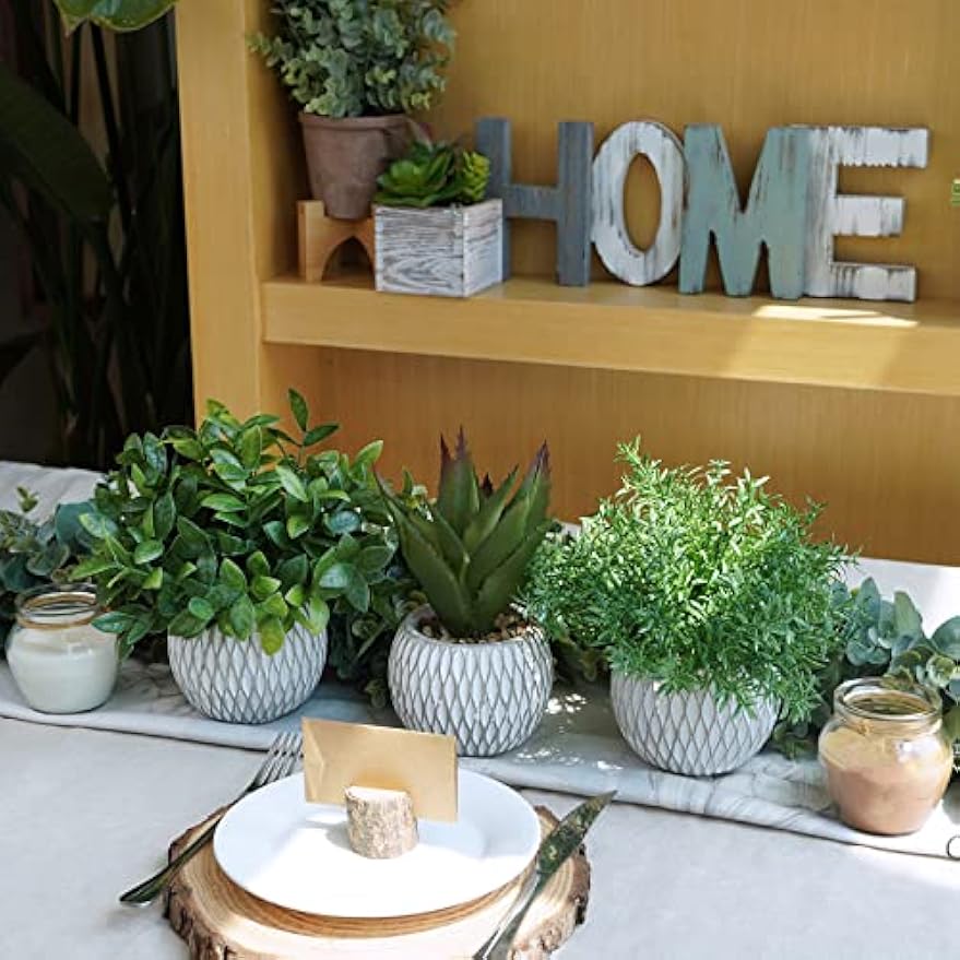 Winlyn 3 Pcs Small Potted Plants Artificial Eucalyptus Rosemary Plants and Aloe Succulent Plant in Gray Geometric Cement Pots for Gifts Table Windowsill Shelf Home Bathroom Indoor Outdoor Green Decor