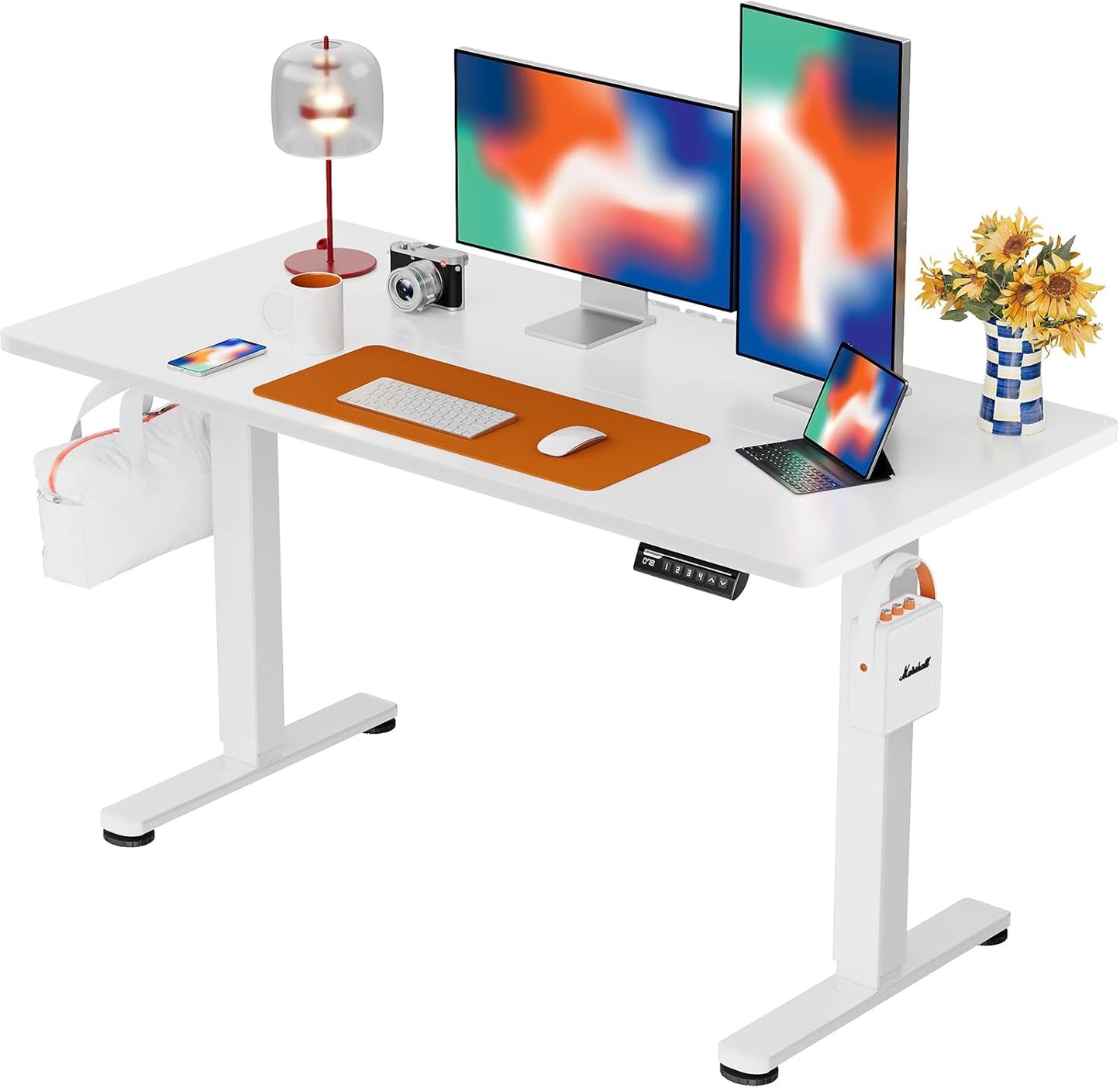 ErGear Height Adjustable Electric Standing Desk, 47.2 x 23.6 Inches Sit Stand up Desk, Memory Computer Home Office Desk with Two-Piece Desktop (Black)