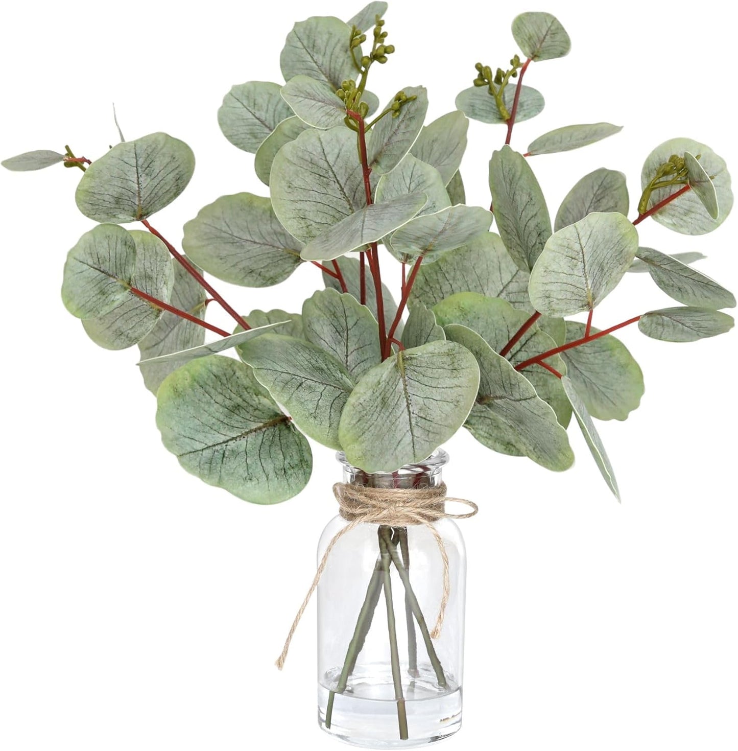 Artificial Eucalyptus Stems in Glass Vase with Faux Water,3Pcs Fake Plant with Double-Sided Green Leaves for Centerpiece(Double-Sided Green Eucalyptus)